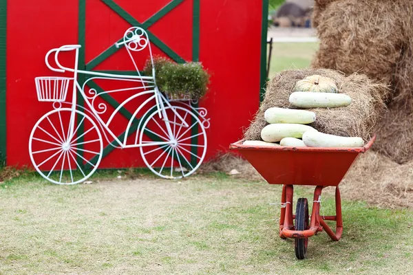 Kruiwagen vol met vers geoogste pompoenen is permanent op het hooi — Stockfoto