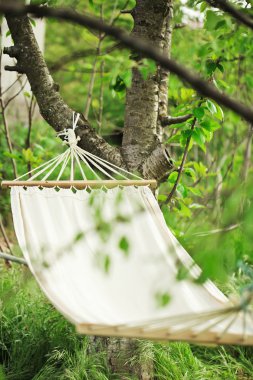 yeşil bahçesinde hamak. Bahar