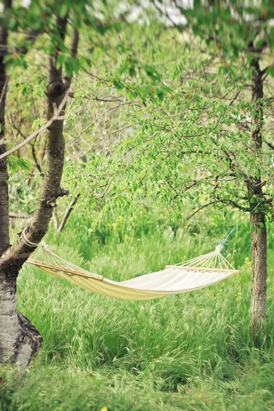 Hamac dans jardin verdoyant. printemps — Photo