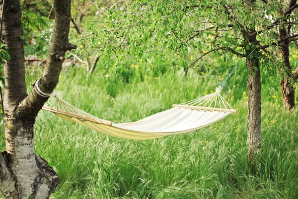 Hamac dans jardin verdoyant. printemps — Photo