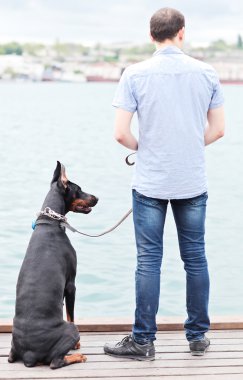 bir adam ve okyanusa bakan bir oturma köpek.