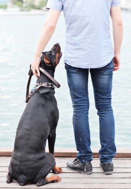 bir adam ve okyanusa bakan bir oturma köpek.