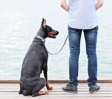 bir adam ve okyanusa bakan bir oturma köpek.