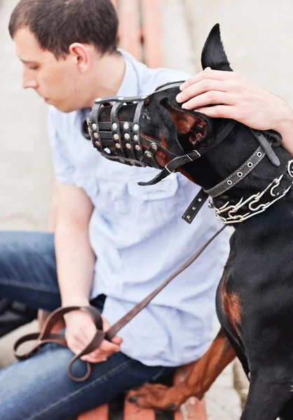 Un uomo e un cane seduto che guardano l'oceano . — Foto Stock