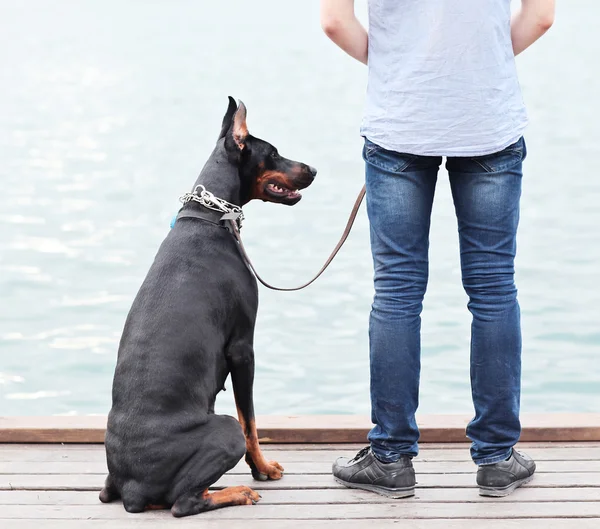 Ein Mann und ein sitzender Hund blicken auf den Ozean. — Stockfoto