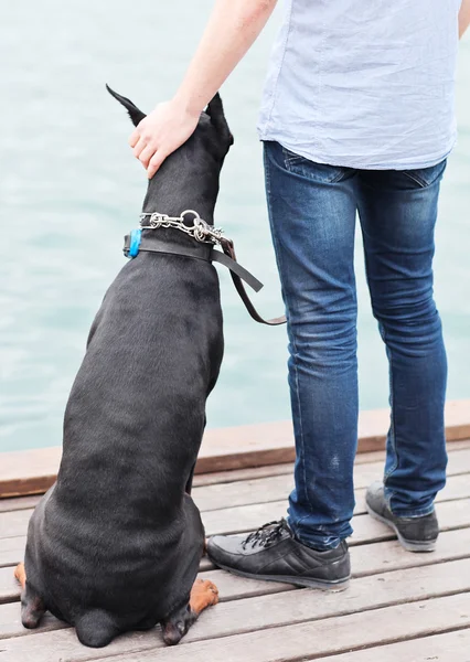 Ein Mann und ein sitzender Hund blicken auf den Ozean. — Stockfoto