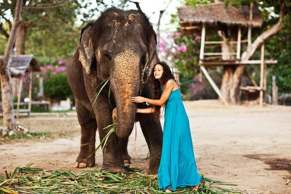 タイで象と若いきれいな女性 — ストック写真