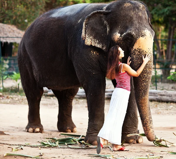 Ung vacker kvinna med elefant i thailand — Stockfoto