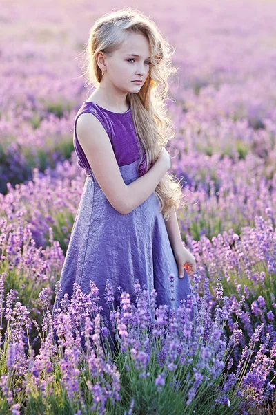 Krásná dívka v poli levandule — Stock fotografie