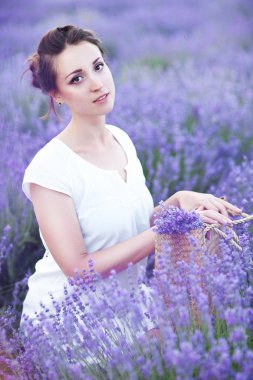 Lavanta alanında romantik Bayan