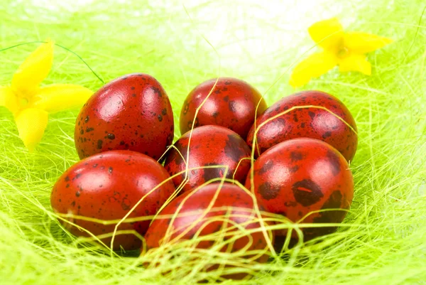 Velikonoční koš s malovanými vejci — Stock fotografie