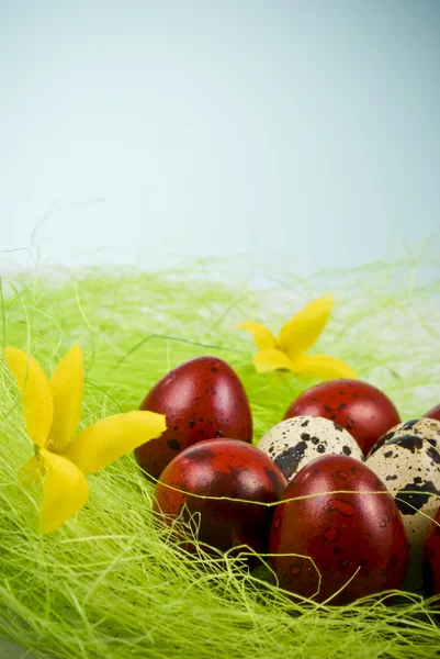 Velikonoční koš s malovanými vejci — Stock fotografie