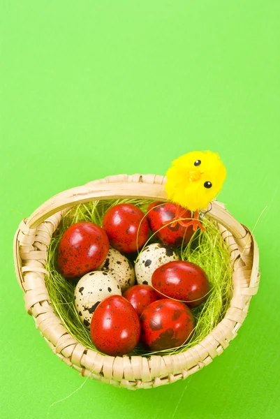 Easter basket with painted eggs — Stock Photo, Image