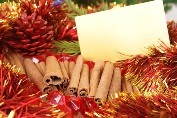 Cinnamon and cone — Stock Photo, Image