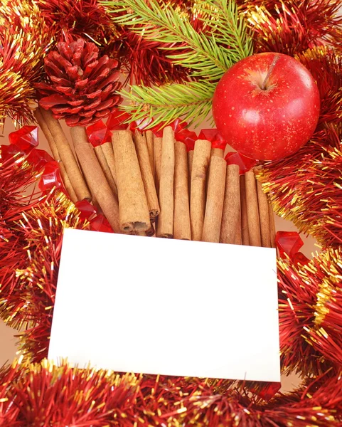 Cinnamon, apple and cone — Stock Photo, Image