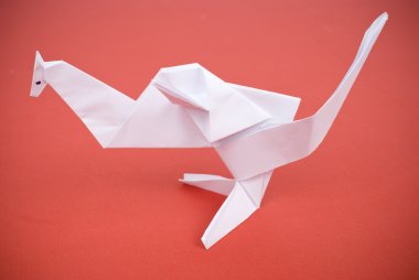 Kanguru kağıt üzerinde kırmızı bir arka plan