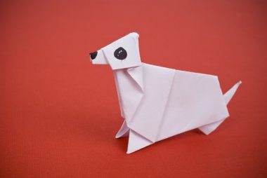köpek kağıt bitti