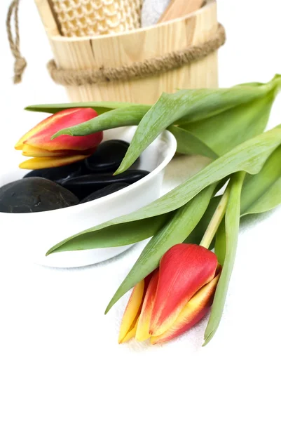 Red tulips — Stock Photo, Image