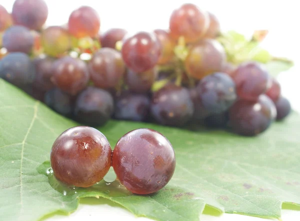 Grape a leafs — Stock Photo, Image