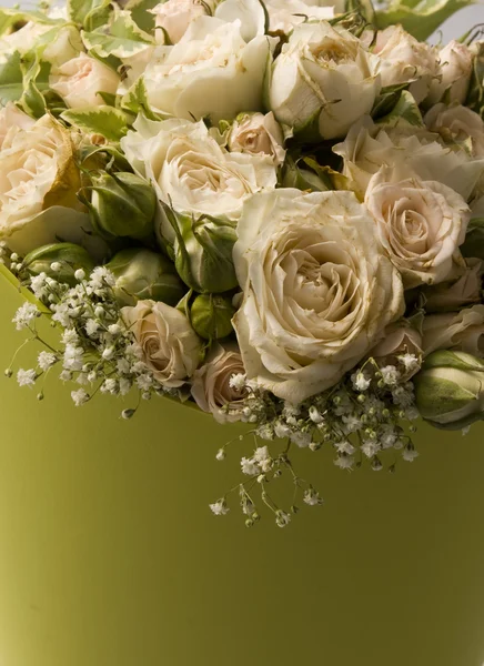 Güller yeşil destek