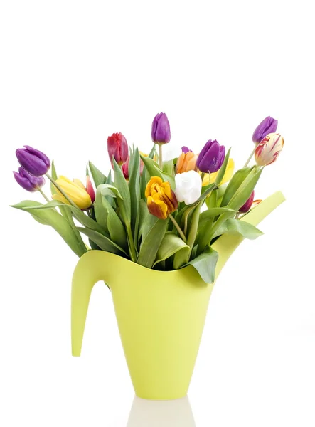 Húsvét-tulipán csokor Stock Kép
