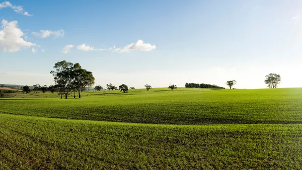 Grüne Wiesen — Stockfoto