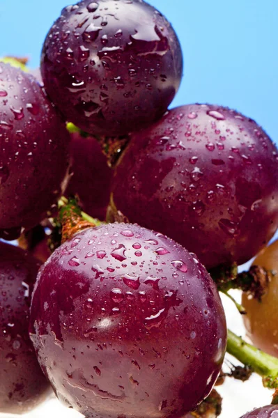 Grapes on the table top — Stock Photo, Image