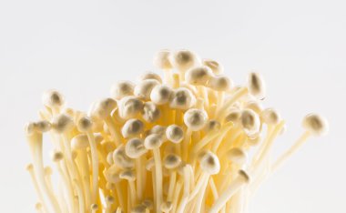 tablo üzerinde mantar