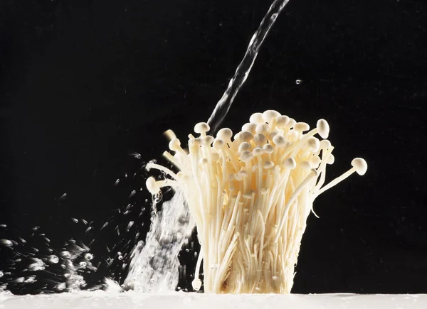 Mushroom under water — Stock Photo, Image