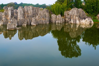 taş ormanında: yunnan, china