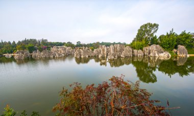taş ormanında: yunnan, china