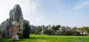taş ormanında: yunnan, china
