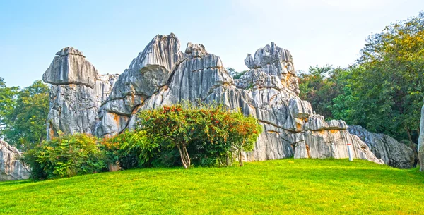 Forêt de pierre dans le Yunnan, Chine — Photo