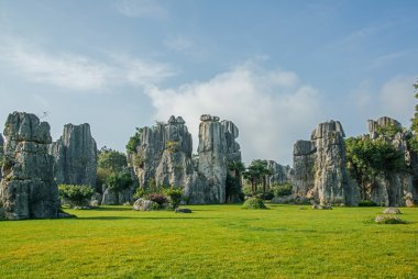 taş ormanında: yunnan, china