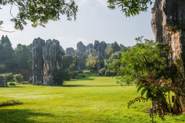 taş ormanında: yunnan, china