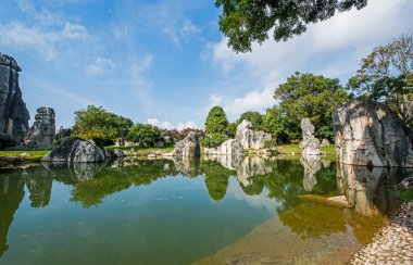 taş ormanında: yunnan, china