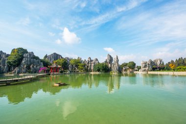 taş ormanında: yunnan, china