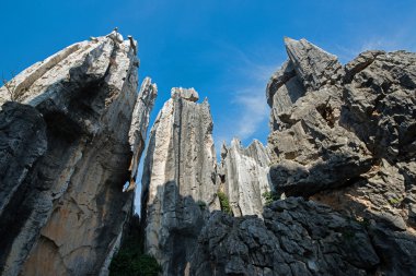 taş ormanında: yunnan, china