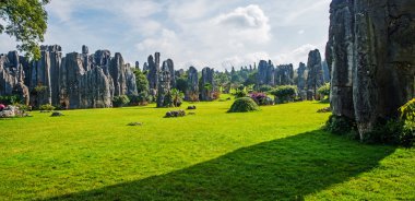 taş ormanında: yunnan, china