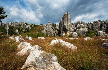 taş ormanında: yunnan, china