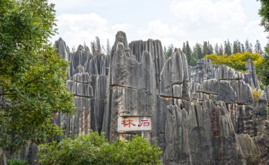 taş ormanında: yunnan, china