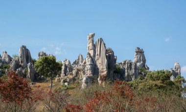 taş ormanında: yunnan, china