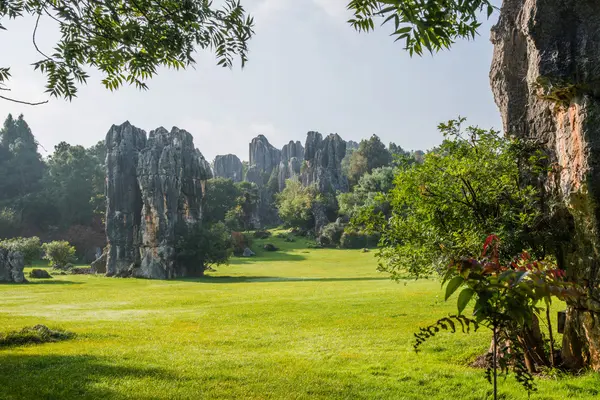 Forêt de pierre dans le Yunnan, Chine — Photo