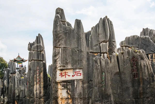 中国雲南省における石の森 — ストック写真