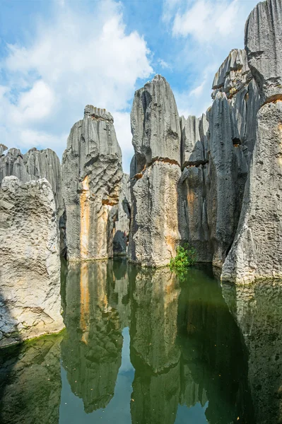 Kamenný Les v yunnan, Čína Stock Snímky