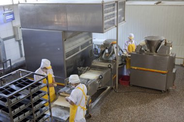 ekmek yapımı fabrika