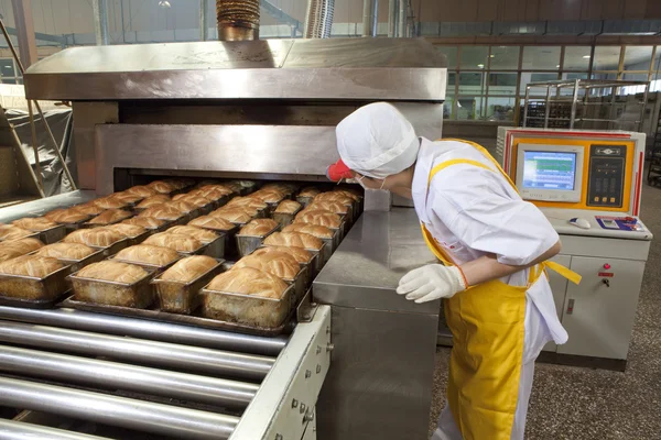 ekmek yapımı fabrika
