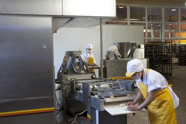 ekmek yapımı fabrika