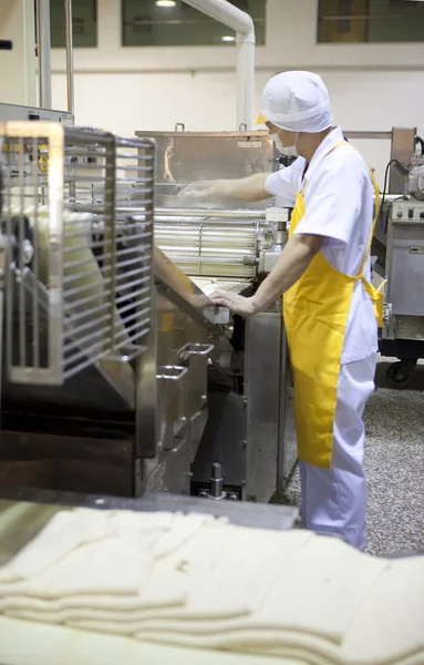 ekmek yapımı fabrika