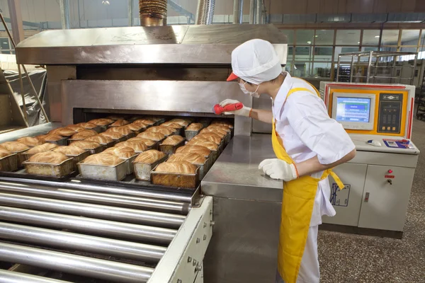 Továrna na výrobu chleba Stock Fotografie